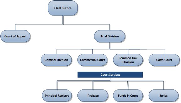 A structure diagram showing the Supreme Court organisational structure shows the Chief Justice at the head of the organisation.