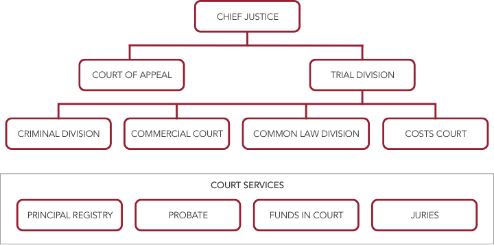 Supreme Court organisational structure shows the Chief Justice at the head of the organisation.